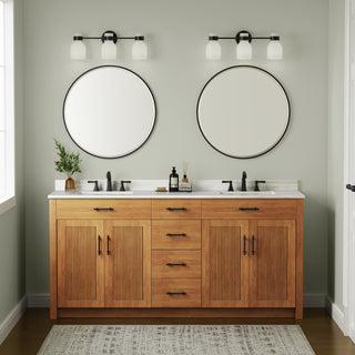 Corella 3-Light Vanity Matte Black