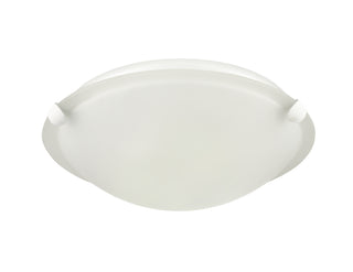 2-Light Flushmount Ceiling Light Matte White