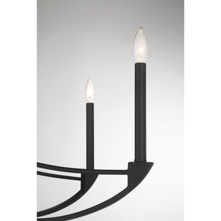 Preserve 8-Light Chandelier in Matte Black