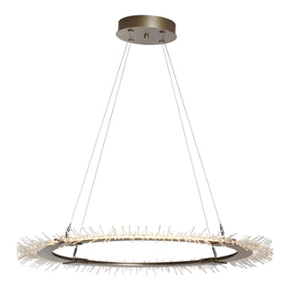 Anemone Circular LED Pendant Soft Gold / STANDARD