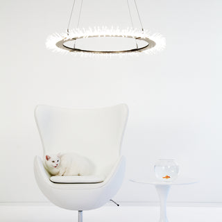 Anemone Circular LED Pendant Soft Gold / STANDARD