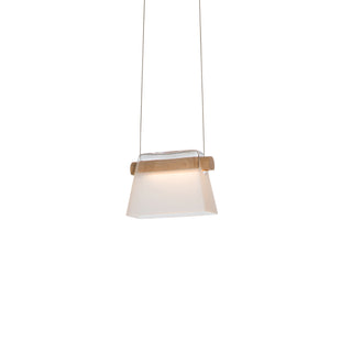 Cowbell LED Mini Pendant Black / Maple Wood / Clear Glass with Frosted Diffuser (YE)