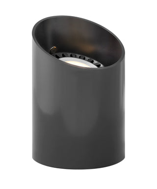 Well Light Par36 Reversible Well Light in Black