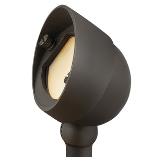Hardy Island Accent Spot Light 12V Small LED 2.5w Wall Wash In Dark Brass Finish