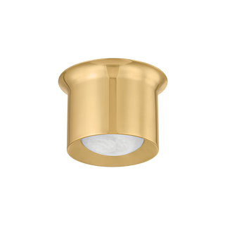 NOXON Flush Mount with Aged Brass Finish