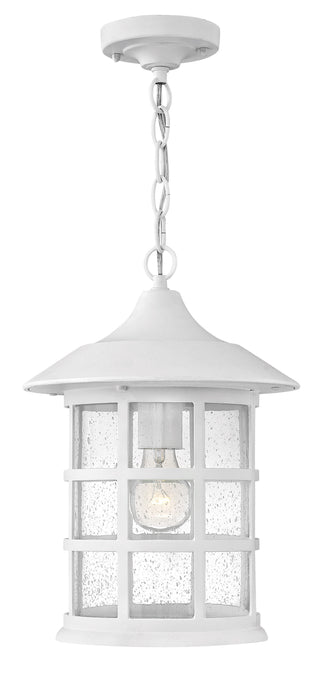 Freeport Coastal Elements Medium Hanging Lantern In White Finish