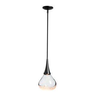 Fritz Large Pendant Black / Clear Glass (ZM) / MULTIPLE