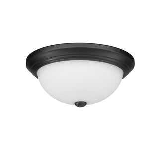 2-Light Flushmount Ceiling Light Matte Black