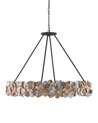 Oyster Shell Chandelier