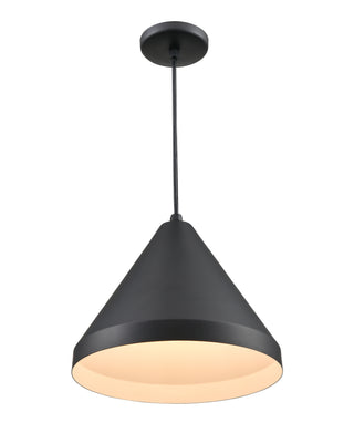 R Series 1-Light Cord Hung Wide Cone Satin Black