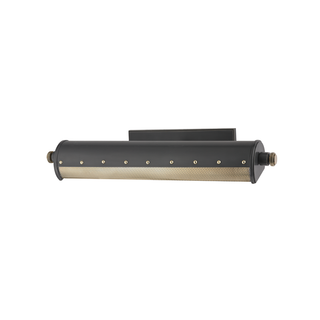 Gaines Picture Light with Aged Old Bronze Finish