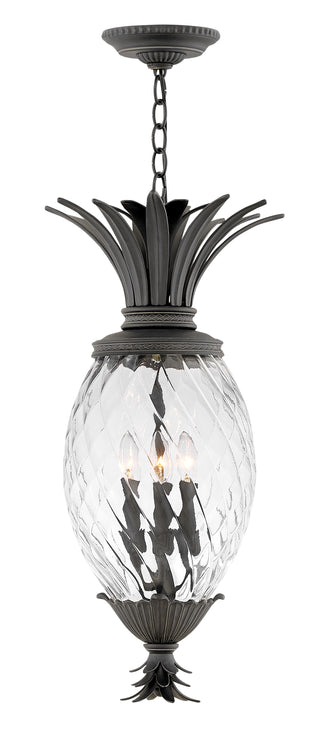 Plantation Large Hanging Lantern In Black Finish
