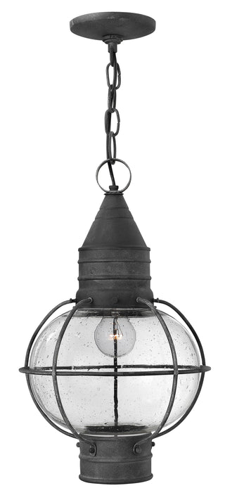 Cape Cod Medium Hanging Lantern In Black Finish