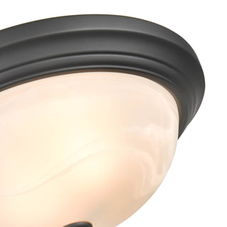 2-Light Flushmount Ceiling Light Matte Black