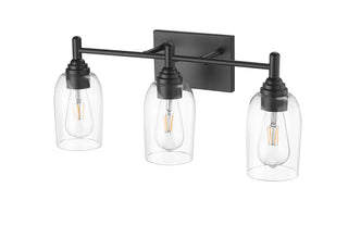 Arlett 3-Light Vanity Matte Black