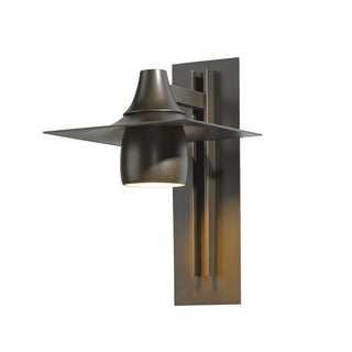 Hood Large Dark Sky Outdoor Sconce Coastal Bronze