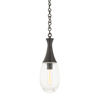 Southold Pendant Black Brass