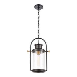 Wexford 12'' Wide 1-Light Outdoor Pendant - Matte Black