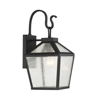 Woodstock 1-Light Outdoor Wall Lantern in Black Black