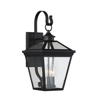 Ellijay 3-Light Outdoor Wall Lantern in Black Black