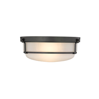 Arlson 2-Light Flushmount Ceiling Light Matte Black