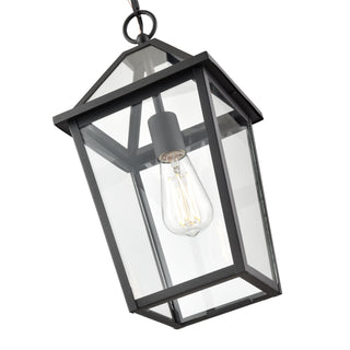 Eston 1-Light Outdoor Hanging Lantern Textured Black