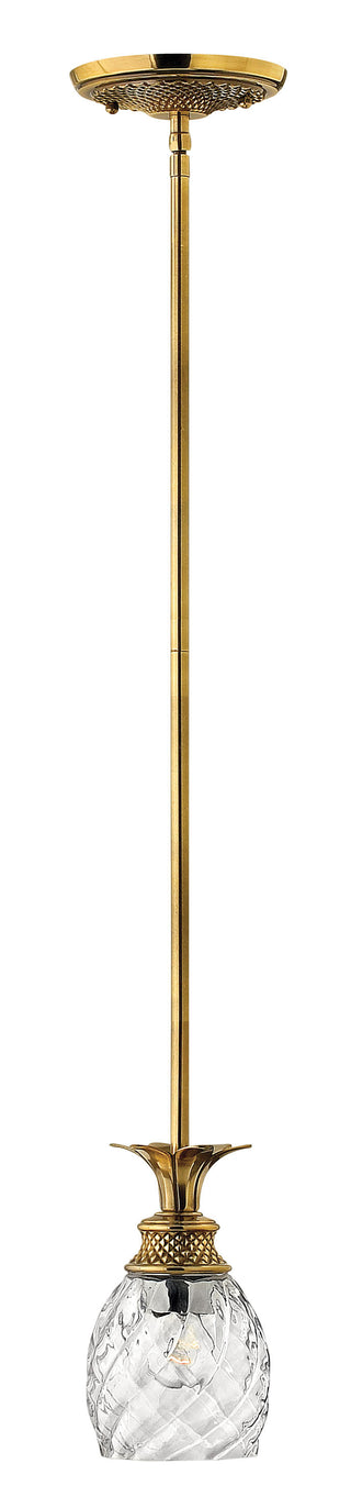 Plantation Extra Small Pendant In Gold Finish