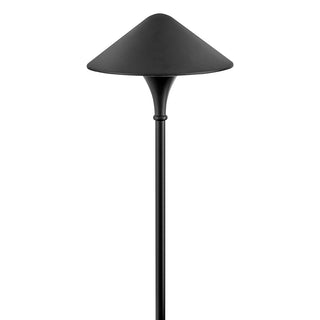 Apex 120V Path Light in Black