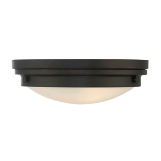 Lucerne 2-Light Ceiling Light in English Bronze English Bronze