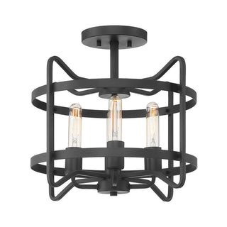 Kent 4-Light Ceiling Light in 
Matte Black Matte Black