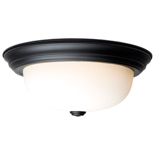2 LT - 13" FLUSH FIXTURE