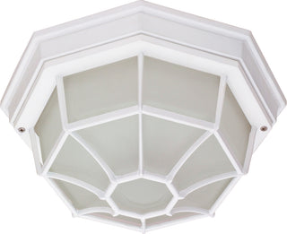 1 LT 12" SPIDER CAGE CEILING