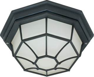 1 LT 12" SPIDER CAGE CEILING