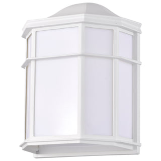 1 LT 10" CAGE LANTERN WALL