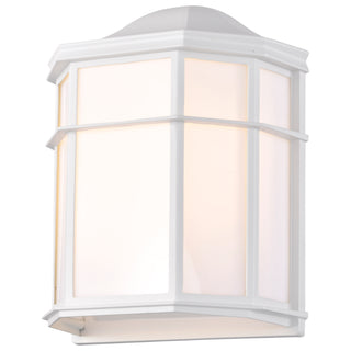 1 LT 10" CAGE LANTERN WALL