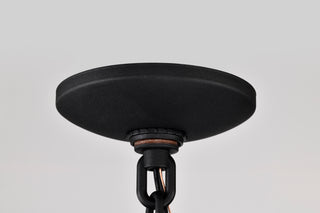 RAIDEN 1LT OUTDOOR HANGING