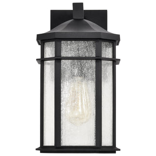 RAIDEN 1LT OUTDOOR SM WALL