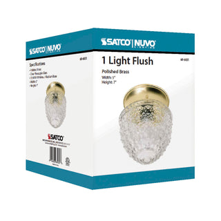 1 LIGHT 6" CEILING FIXTURE