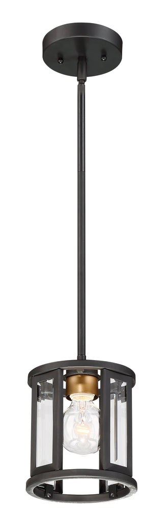 PAYNE 1 LIGHT MINI PENDANT