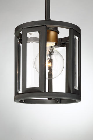 PAYNE 1 LIGHT MINI PENDANT