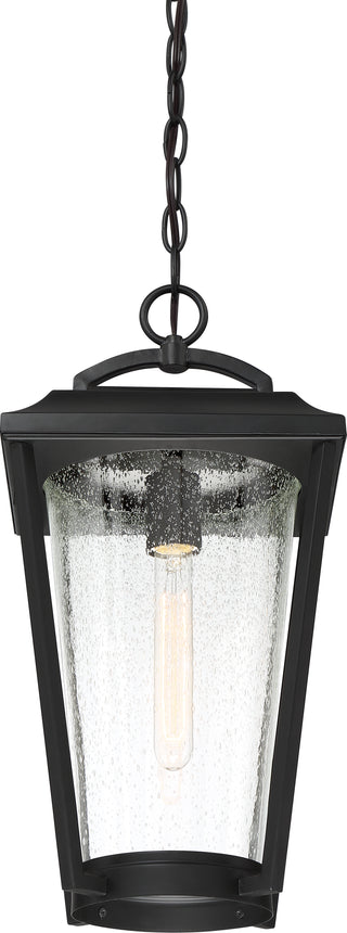 LAKEVIEW 1 LT HANGING LANTERN