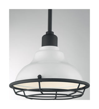 NEWBRIDGE 1LT SMALL PENDANT
