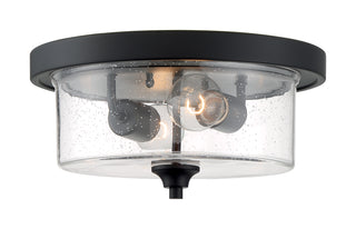 BRANSEL 2 LIGHT FLUSH MOUNT