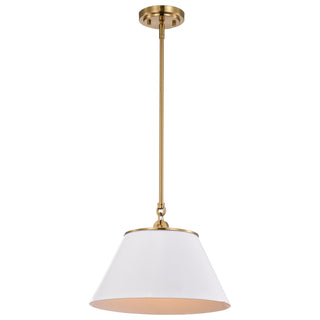 DOVER 1 LIGHT MEDIUM PENDANT