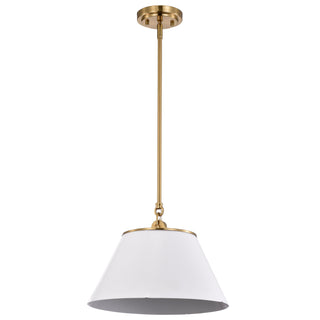 DOVER 1 LIGHT MEDIUM PENDANT