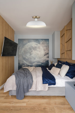 COLONY 1 LIGHT SMALL FLUSH