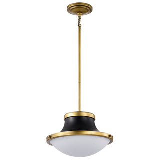 LAFAYETTE 1 LIGHT 14" PENDANT