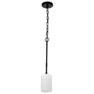 LIAM 1 LIGHT MINI PENDANT