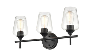 Ashford 3-Light Vanity - Matte Black