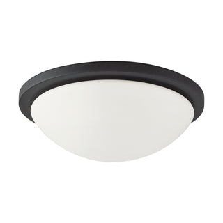 LED BUTTON BL 13" FLUSH